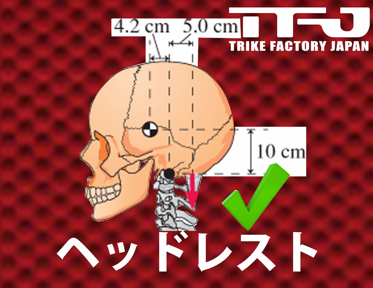 ミニコブラエンジン仕様 ミニコブラ